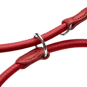 Dog leash Hunter Round & Soft Love image-4