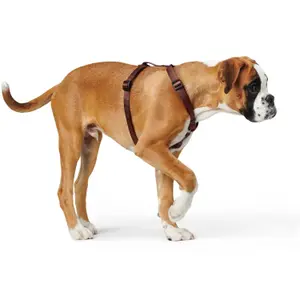 Hundsele Hunter Ecco Sport Vario Rapid image-1