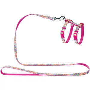 Leashes and harnesses for puppies and cats Hunter image-0