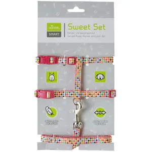 Leashes and harnesses for puppies and cats Hunter image-1