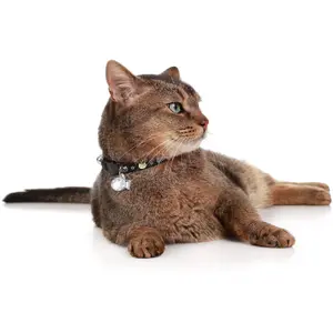 Halsband für Katzen Hunter image-1