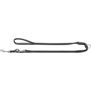 Dog leash Hunter Modern Art image-0