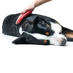 Dog comb Hunter Wellness image-2