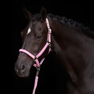 Halter for horse HV Polo Nena image-1