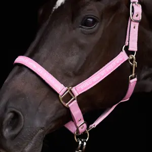 Halter for horse HV Polo Nena image-2