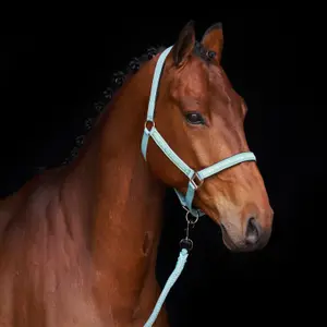 Halter for horse HV Polo Nena image-1