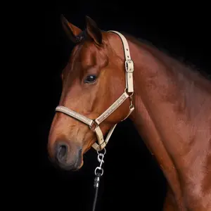 Halter for horse HV Polo Nena image-1