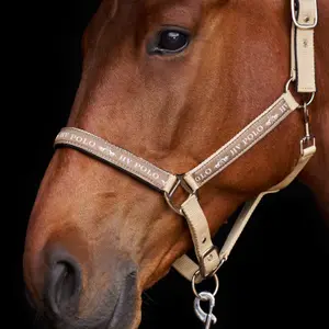 Halter for horse HV Polo Nena image-2