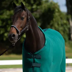 Manta polar para caballos HV Polo Nena 0g image-6