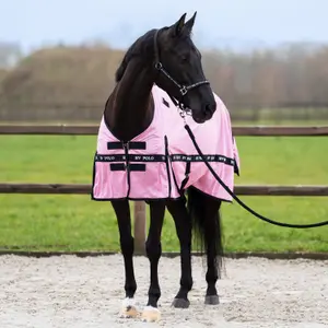 Fly Blanket with neck cover HV Polo Nena image-6