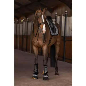 Mantilla de doma para caballos HV Polo Francis image-1