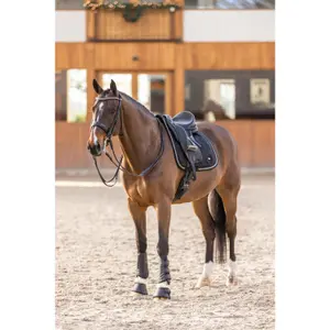 Almofada de sela de adestramento para cavalos HV Polo Vianna image-2