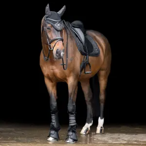 Dressurmatte für Pferde HV Polo Welmoed Shine image-1