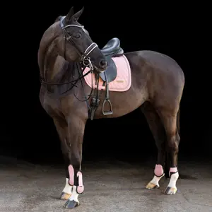 Dressurmatte für Pferde HV Polo June image-2