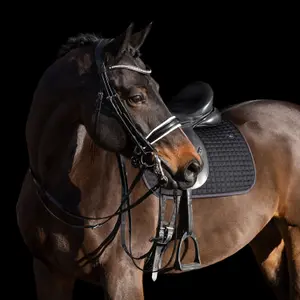 Σαμάρι ιππασίας HV Polo Legacy image-1