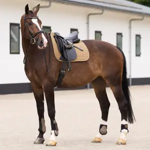 Jezdecký podložka pro koně HV Polo Essential DR image-1