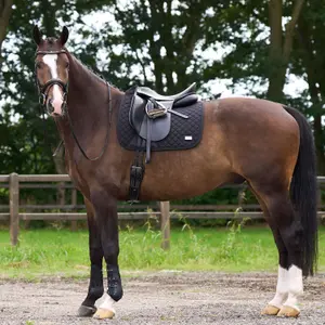 Tapis de dressage pour cheval HV Polo Pro performance DR image-2