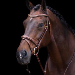1201093500-8000-riding-bridle-noseband-hv-polo-legacy-brown