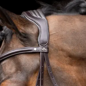 Trense HV Polo Legacy image-1