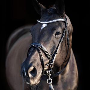 Bridles HV Polo Legacy deluxe image-1