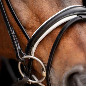 Bridles HV Polo Legacy deluxe image-1
