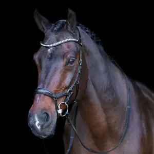 Σχοινί ιππασίας HV Polo Legacy Anatomique Deluxe image-0