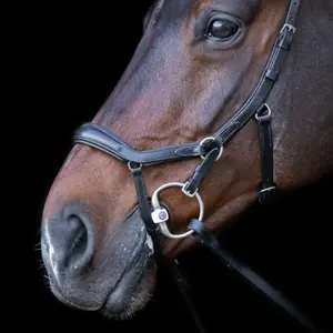 Σχοινί ιππασίας HV Polo Legacy Anatomique Deluxe image-1