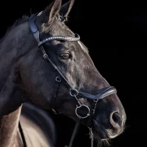 Ανατομικά καπίστρια ιππασίας HV Polo Legacy deluxe image-1