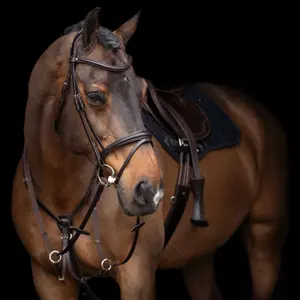 Μαρτυγάλ για άλογο HV Polo Legacy image-0
