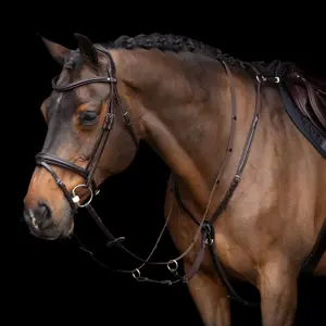 Μαρτυγάλ για άλογο HV Polo Legacy image-1