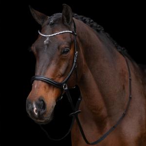 1201093600-9000-bettlost-trans-for-hastar-hv-polo-legacy-svart