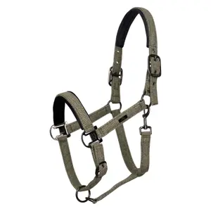 Cabezada Cuadra para caballos HV Polo Francis image-0