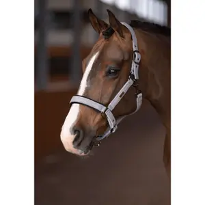 Halster för häst HV Polo Francis image-1
