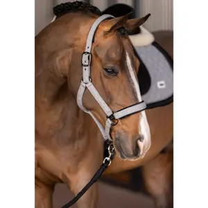Halster för häst HV Polo Francis image-2