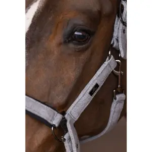 Halster för häst HV Polo Francis image-3