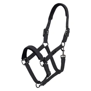 Halster voor paarden HV Polo Francis image-0