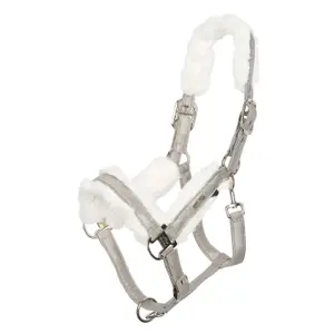 Halster voor bontpaard HV Polo Welmoed Shine image-0