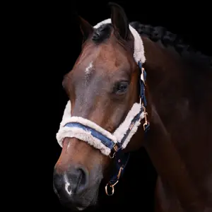 Halfter für Pferd HV Polo Welmoed Shine image-1