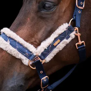Halfter für Pferd HV Polo Welmoed Shine image-2