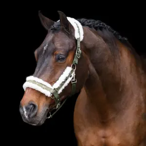 Šampon na koně s kožešinou HV Polo Welmoed Shine image-2