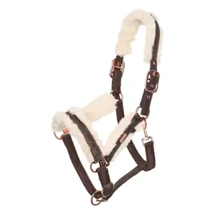 Cabezada para caballo de pelo HV Polo Welmoed Shine image-0