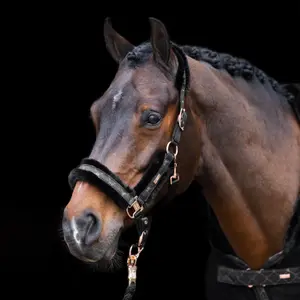 Šampon na koně s kožešinou HV Polo Welmoed Shine image-2