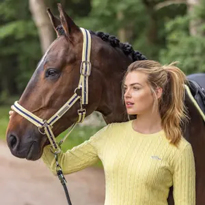 Halter for horse HV Polo Classic Stripe image-1