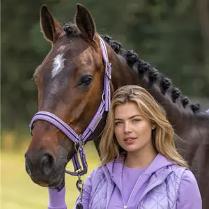 Ohlávka pro koně HV Polo Classic Stripe image-1