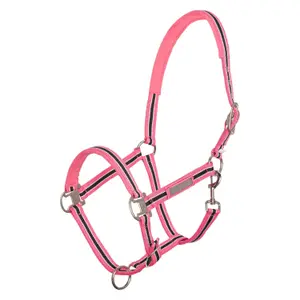 Halter for horse HV Polo Classic Stripe image-0