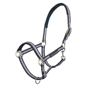 Licol pour cheval HV Polo Classic Stripe image-0