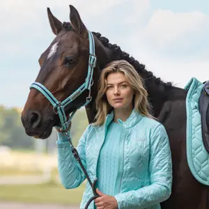 Ohlávka pro koně HV Polo Classic Stripe image-1