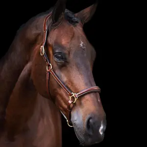 Καπίστρι για άλογο HV Polo Legacy image-1