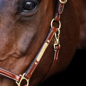 Καπίστρι για άλογο HV Polo Legacy image-2