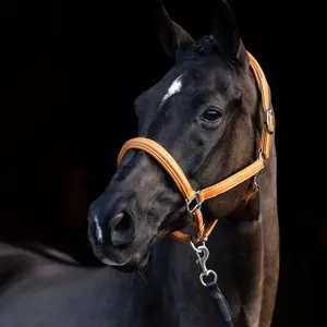 Lederhalfter für Pferde HV Polo Soft image-1